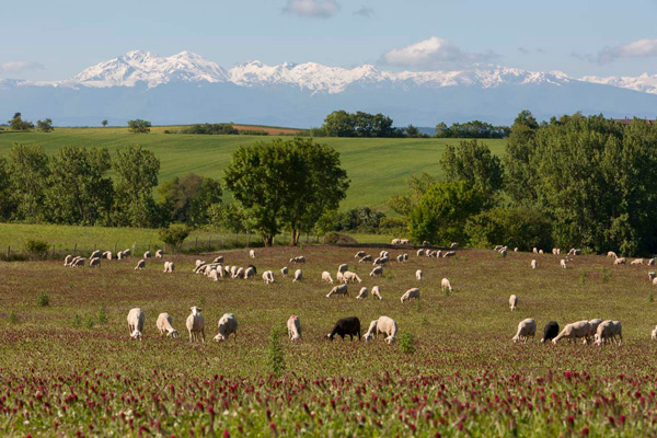 Installation à la Ferme du Bosc