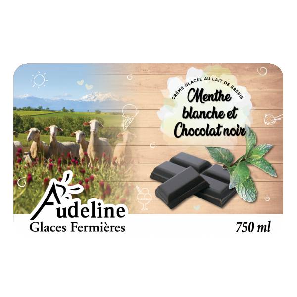 Crème glacée Menthe blanche et chocolat noir