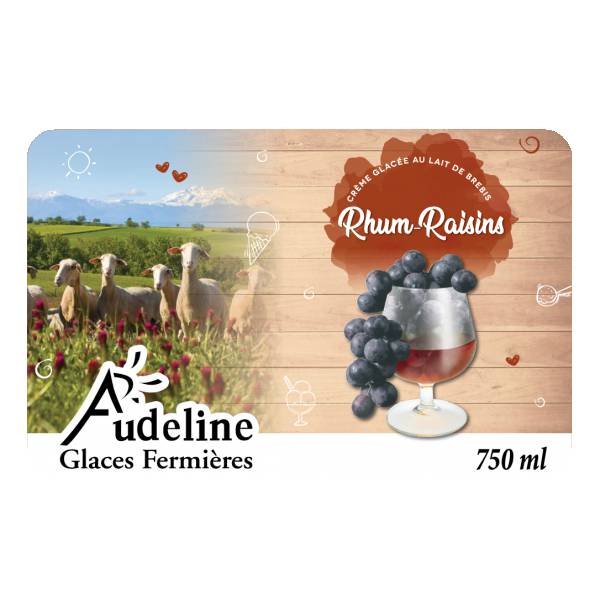 Crème glacée Rhum-raisins
