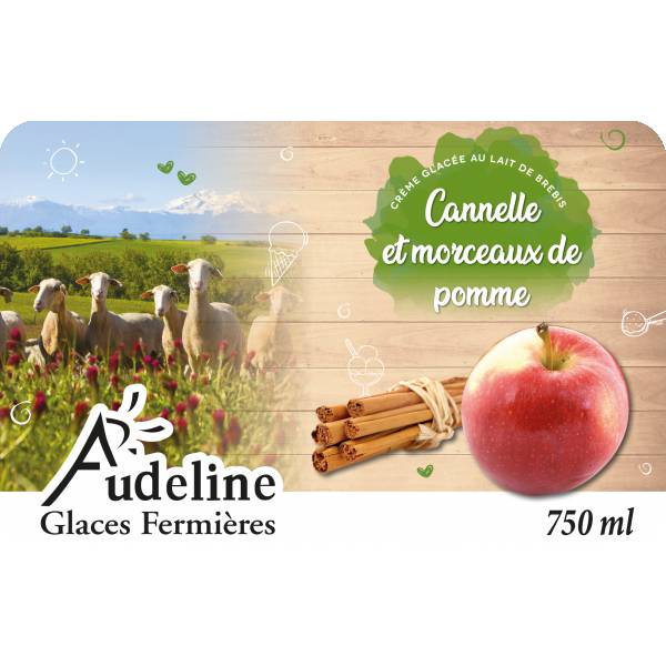 Cannelle et morceaux de pomme