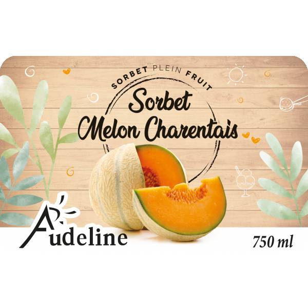 Sorbet Melon Charentais