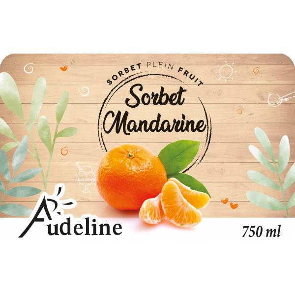 Sorbet mandarine