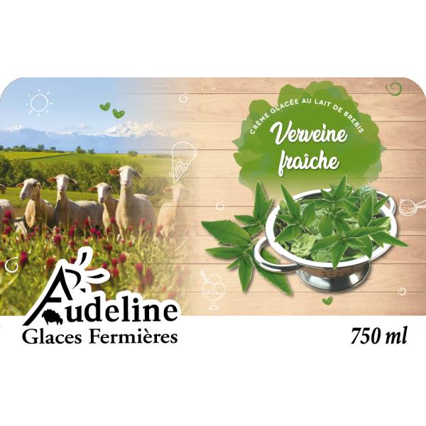 Verveine  fraîche