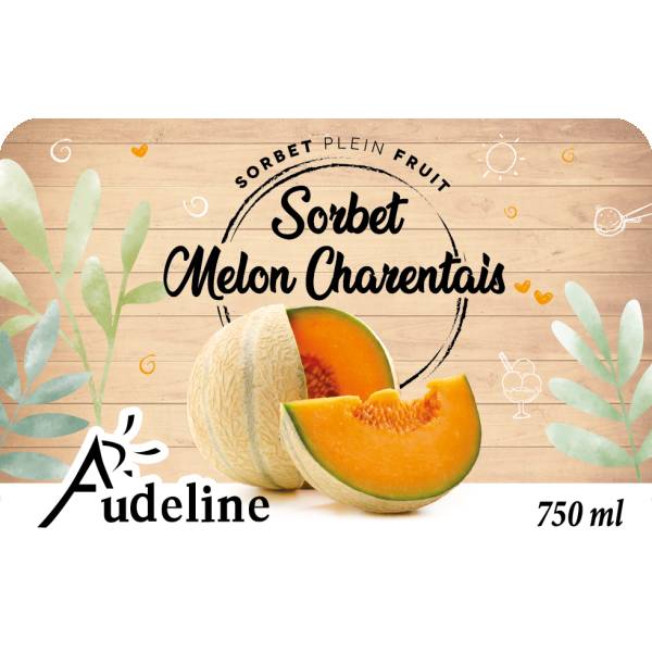 Sorbet Melon Charentais